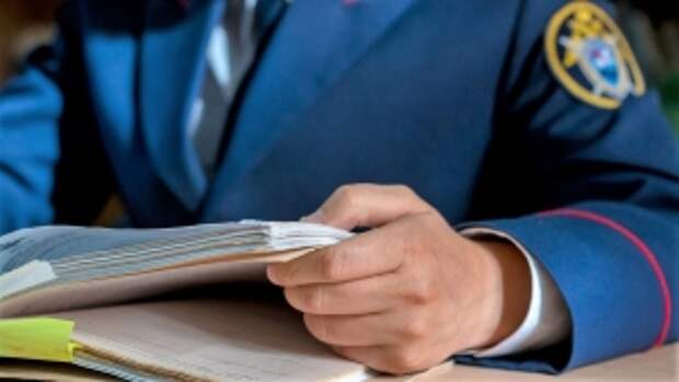 Глава ведомства затребовал доклад о расследовании обстоятельств избиения подростками жителя Кемеровской области