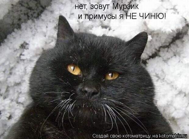 Лучшие котоматрицы недели (50 фото) Лучшие котоматрицы недели (50 фото)