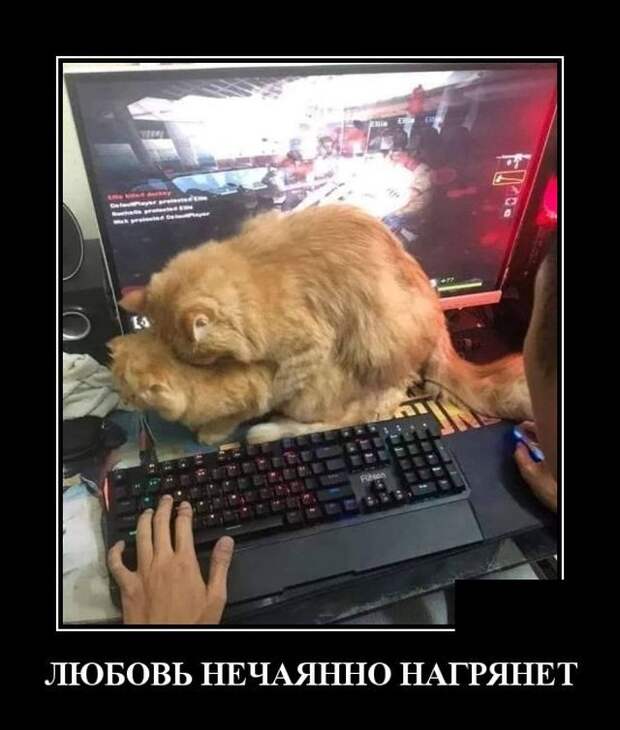 Демотиватор про любовь