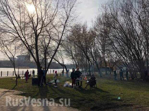 Власти увидели «шашлычки», или Почему в борьбе с коронавирусом нужны самые суровые меры