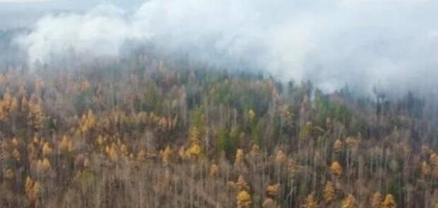 Якутия: лицом к лицу с лесными пожарами