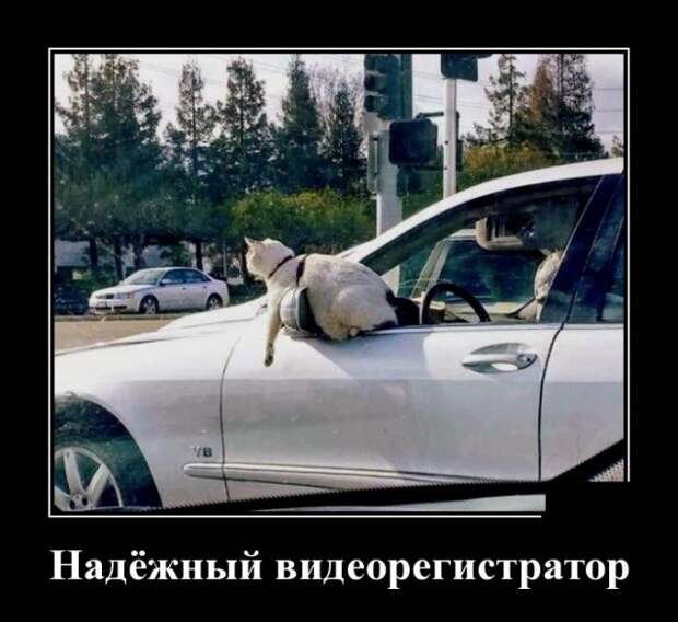 Демотиваторы (30 фото)