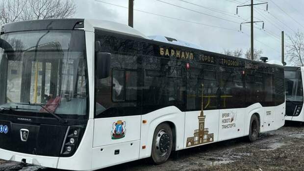 В Барнауле для школьников из многодетных семей проезд в транспорте будет бесплатным