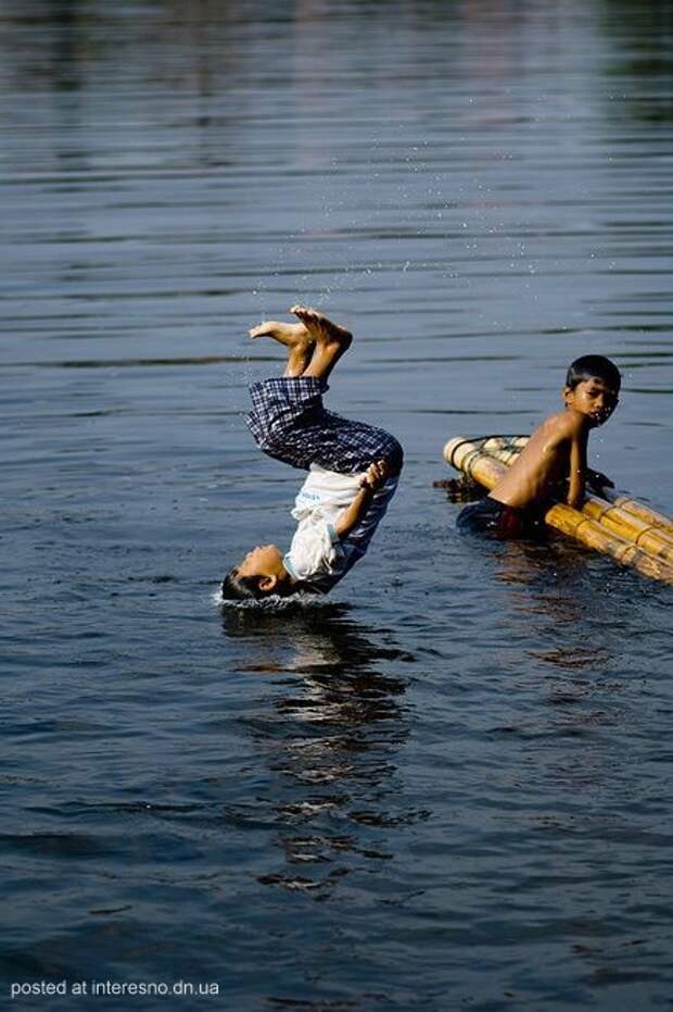 прикольные фотографии
