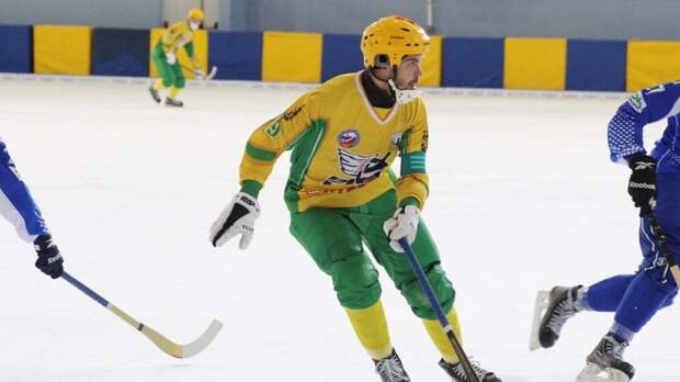 команда водник архангельск. хк водник архангельск. водник (клуб по хоккею с мячом). стадион водник архангельск. как сыграл водник сегодня.