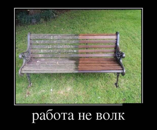 Демотиваторы (30 фото)