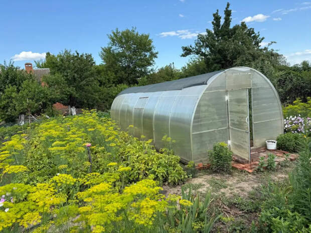 Дачников предупредили: к атакам на урожай нужно готовиться уже сейчас