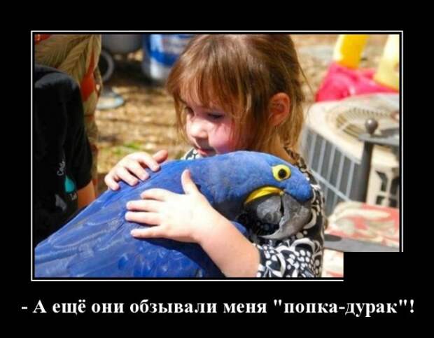 Демотиваторы (30 фото)