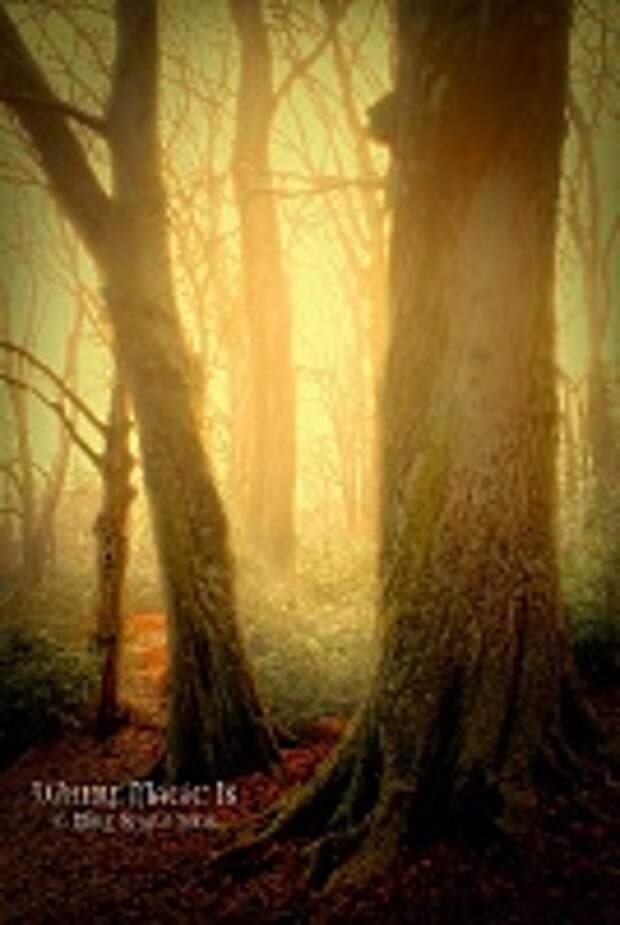 ФОТОГРАФ MIKE SHAW 10