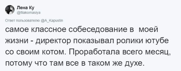 Внезапные вопросы и казусы на собеседованиях Внезапные вопросы и казусы на собеседованиях
