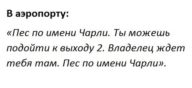 17 смешных разговоров, подслушанных людьми в Лос-Анджелесе