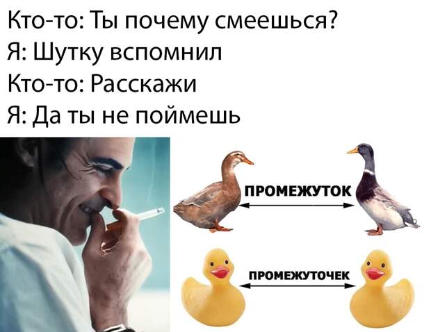 www.vsyako.net
