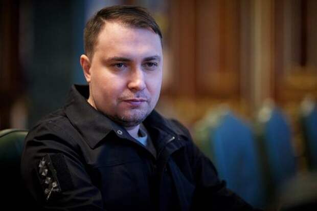 Азаров назвал спекуляциями сообщения о готовности Буданова* уступить по Донбассу