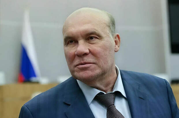 Депутат Колесник допустил атаку НАТО на береговую линию Черного моря в России