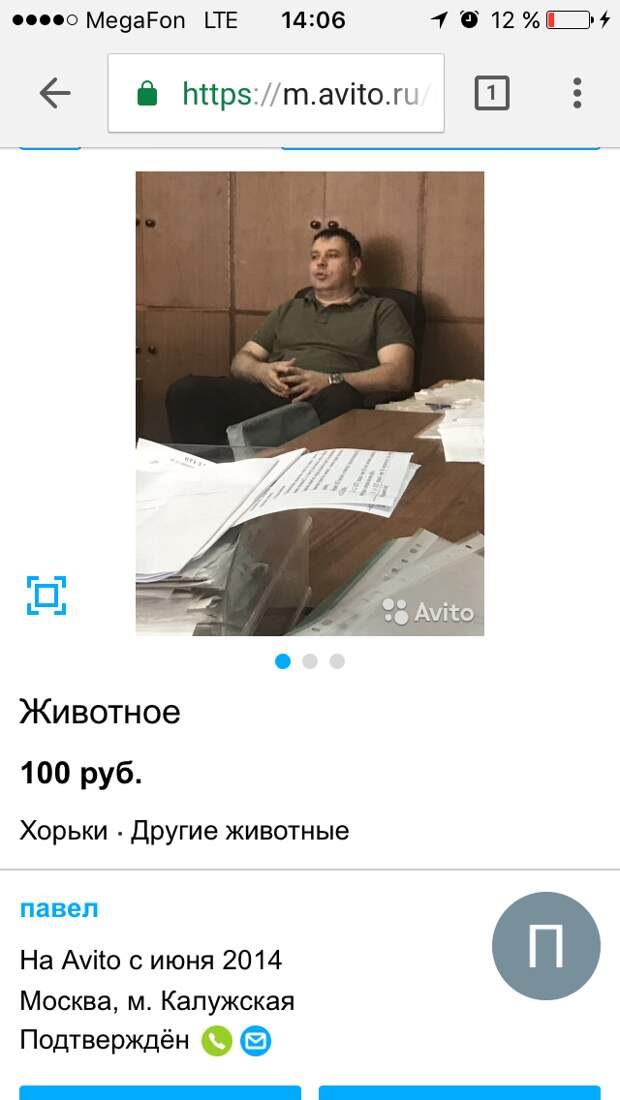 Недобросовестные начальники часто находят свои фото в разделе "Животные" Недобросовестные начальники часто находят свои фото в разделе "Животные" авито, креатив, куплю, объявления, прикол, продам, товары, юмор