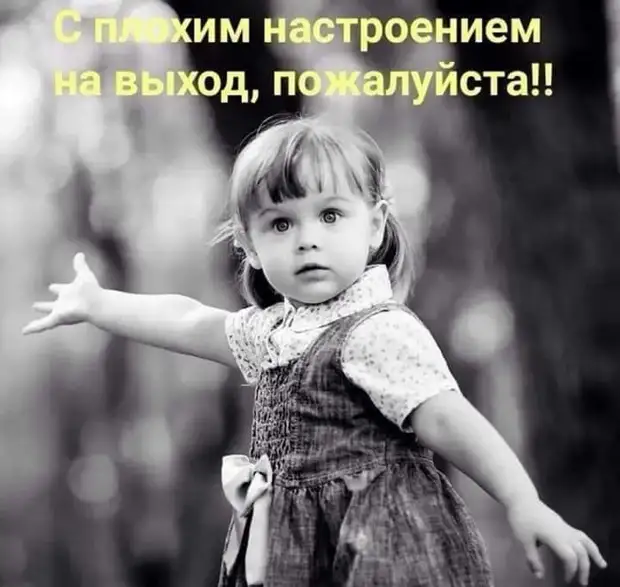 Манипулировать дураком легко, просто не забывай говорить ему: 