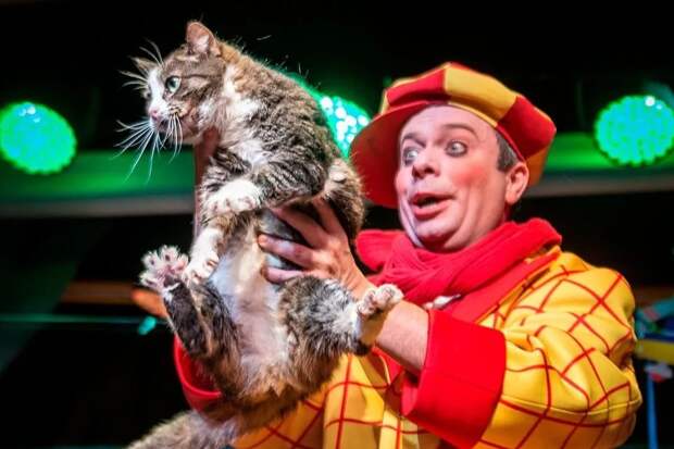 Милота: спасенная из зоны СВО кошка дебютировала в Театре Куклачева