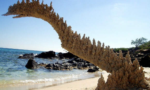 Следы в песке от удара молний: природа создает скульптуры