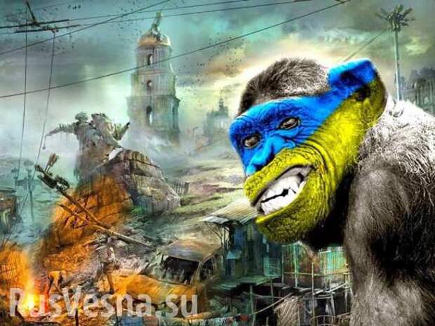 Наплевать на угрозу к-вируса: Украинцы начали крушить аэропорт, прорываясь в Киев