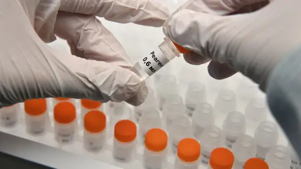 В Хабаровске рассказали о ситуации с коронавирусом