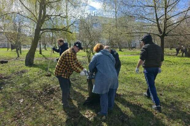 Тамбовчане вышли на общегородской субботник