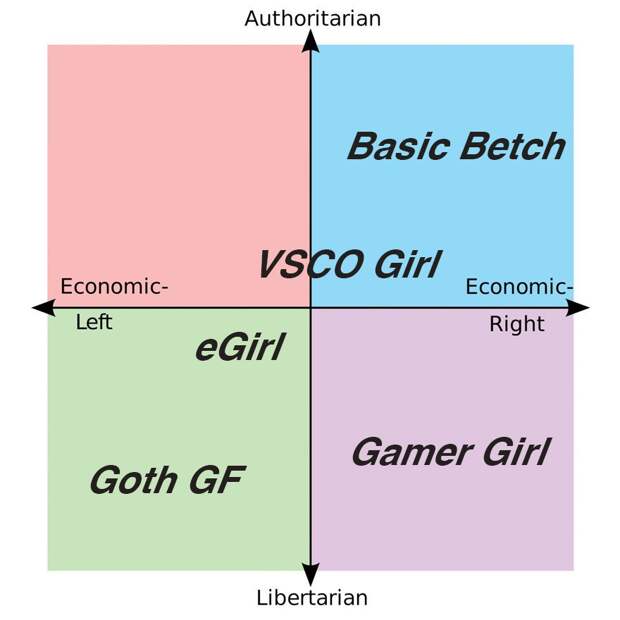 VSCO Girl meme мем