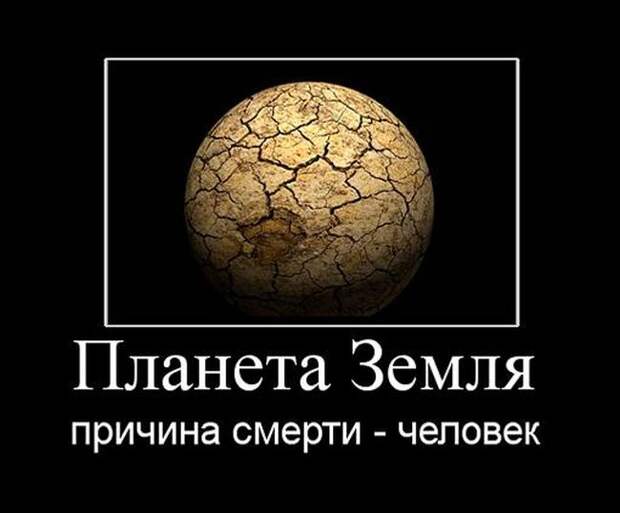 Демотиваторы (30 фото)