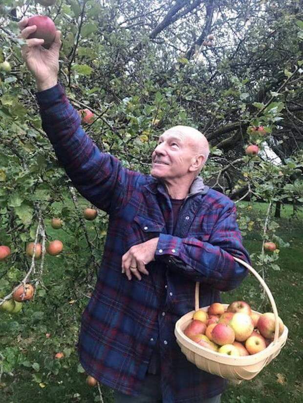Подборка прикольных картинок