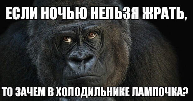 obzhory