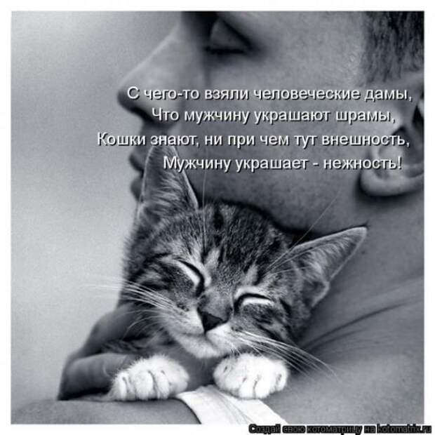 Котоматрицы(картинки с надписями)