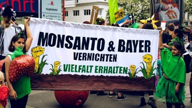 Садовник и его убийца: У Monsanto начинаются крупные неприятности