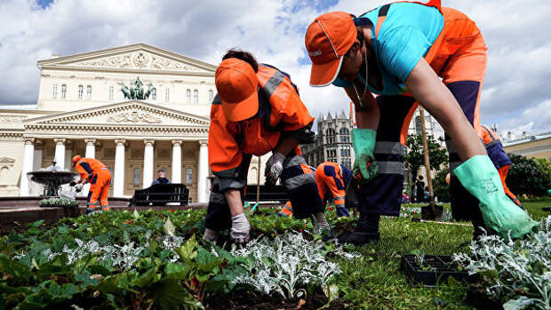 Цветники в Москве