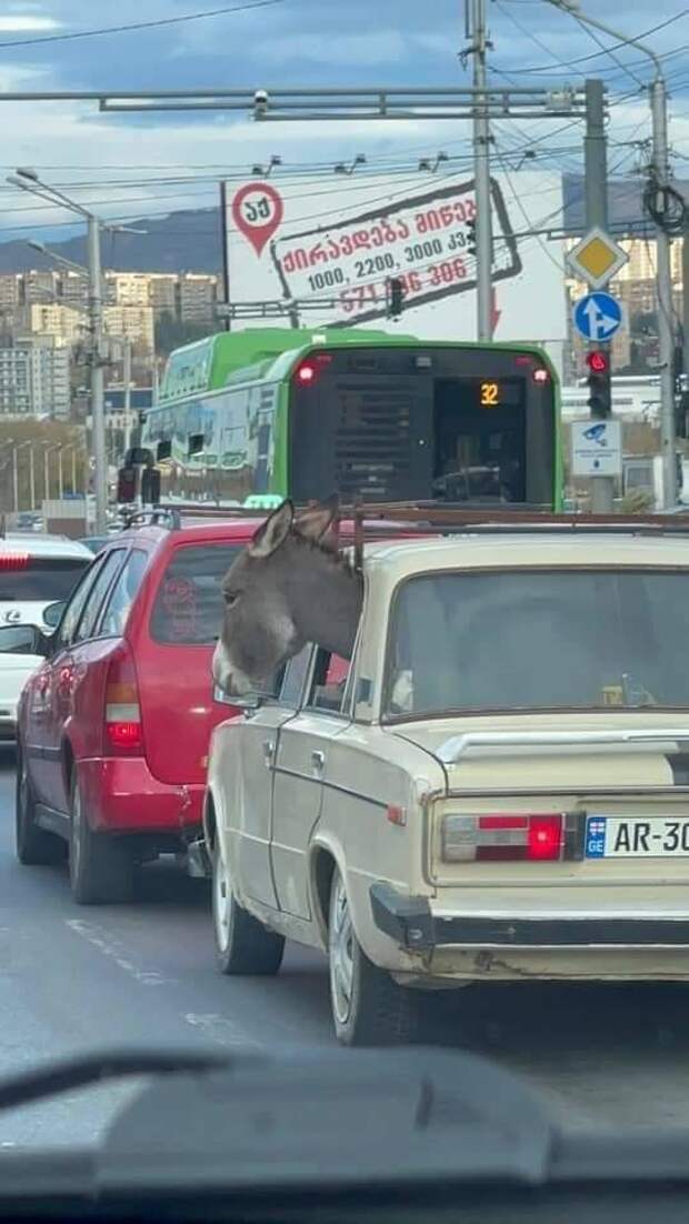 Подборка прикольных картинок
