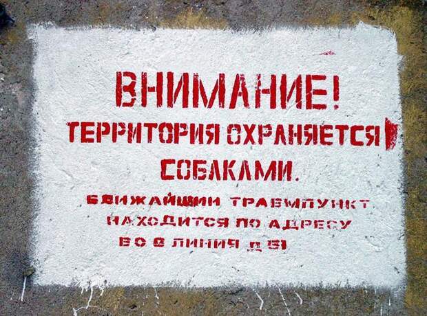 Забавности :) (50штук)