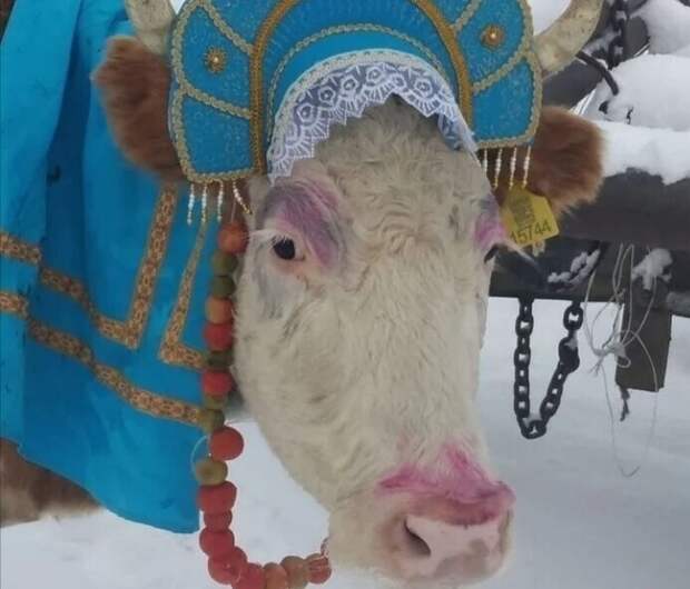 Якутские морозы и милые девушки