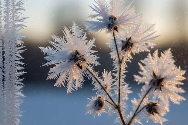 В ХМАО из-за сильных морозов отменили занятия в школах