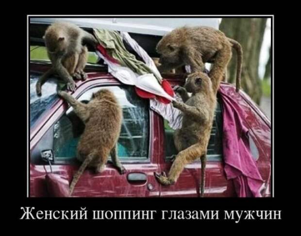 www.vsyako.net