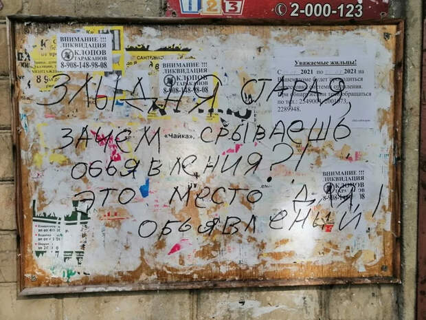 20 объявлений, которые точно сведут вас с ума 20 объявлений, которые точно сведут вас с ума