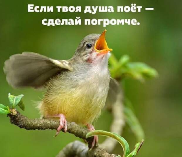 картинки с приколами (16)