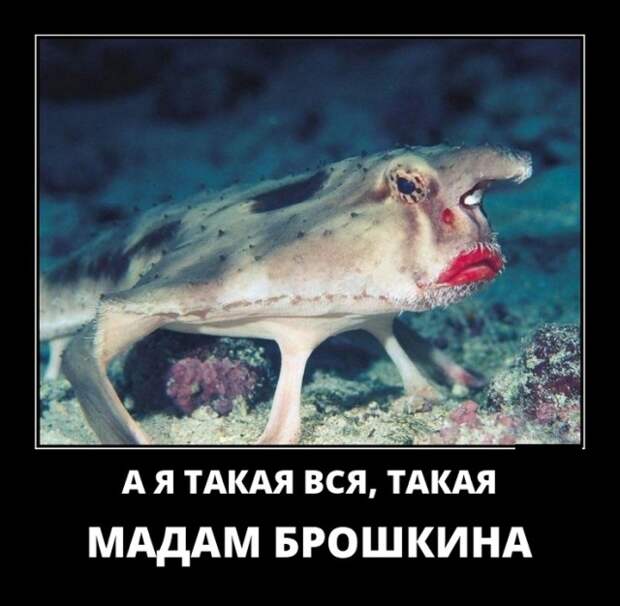Демотиваторы (30 фото)