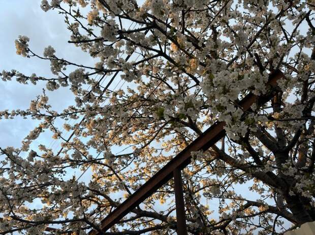 Дождались! Циклон сдает позиции: на Кубани установится сухая и тёплая погода