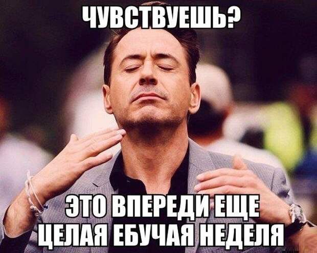 Веселые картинки, которые поднимут вам настроение! Веселые картинки, которые поднимут вам настроение!