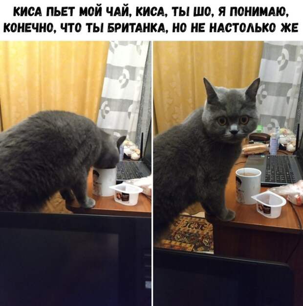 Подборка картинок (20 фото)