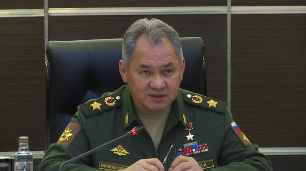 Шойгу заявил о готовности России способствовать установлению прочного мира в Мали