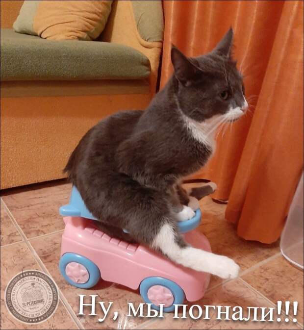 Ну, мы погнали!!!