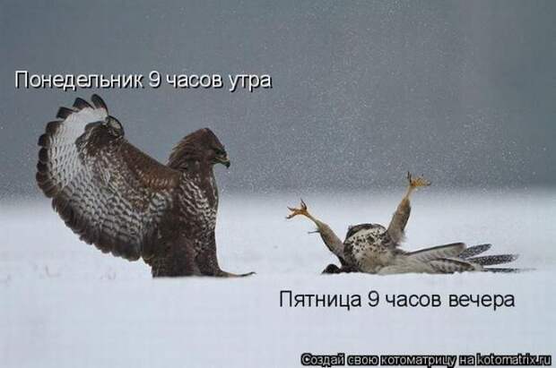 Мысли вслух :)