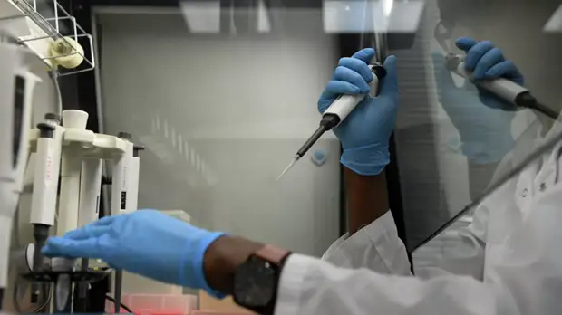 Вирусолог назвал возможные сроки появления вакцины от коронавируса