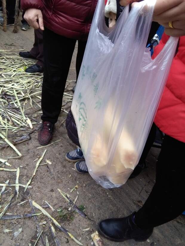 Народ решил дать палок продавцу или народные кушанья в провинции Хэнань(Китай) Китай, палки зеленые, пейте и ешьте натуральное, длиннопост