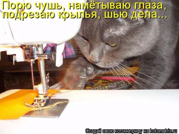 Мысли вслух :)