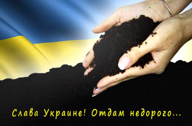 СЛАВА УКРАИНЕ! На Украине готовятся продать иностранцам целую область СЛАВА УКРАИНЕ! На Украине готовятся продать иностранцам целую область